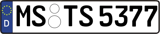 MS-TS5377