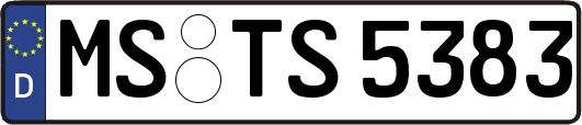 MS-TS5383