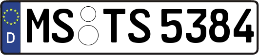 MS-TS5384