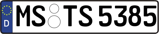 MS-TS5385