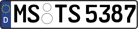 MS-TS5387