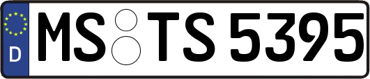 MS-TS5395
