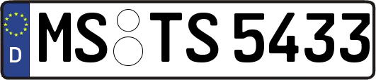 MS-TS5433