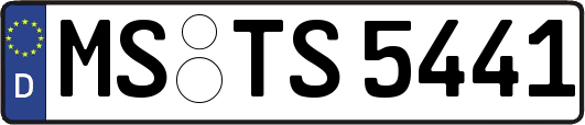 MS-TS5441