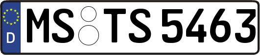 MS-TS5463