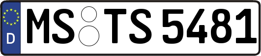 MS-TS5481