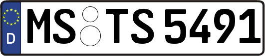 MS-TS5491