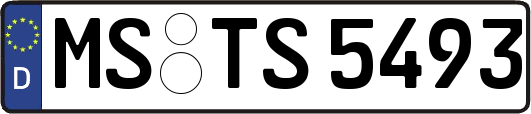 MS-TS5493