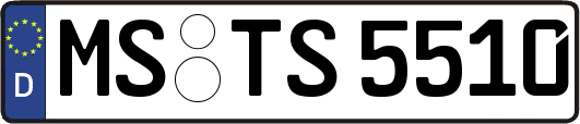 MS-TS5510