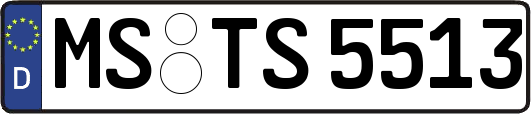 MS-TS5513