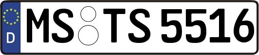 MS-TS5516