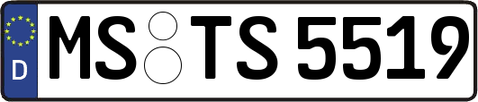MS-TS5519