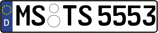 MS-TS5553