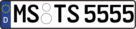 MS-TS5555
