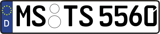 MS-TS5560