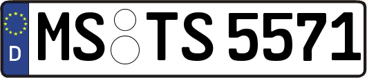 MS-TS5571