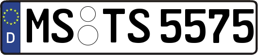 MS-TS5575