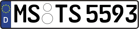 MS-TS5593