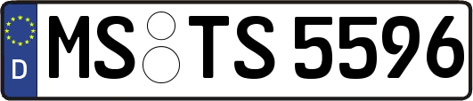 MS-TS5596