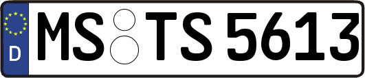 MS-TS5613