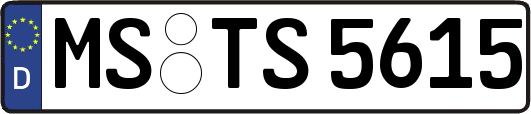 MS-TS5615