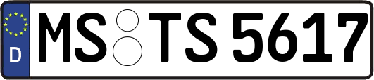 MS-TS5617