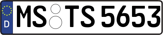 MS-TS5653