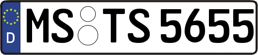 MS-TS5655