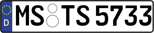 MS-TS5733