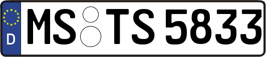 MS-TS5833
