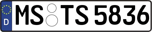 MS-TS5836