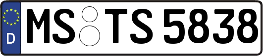 MS-TS5838