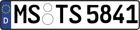 MS-TS5841