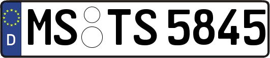 MS-TS5845