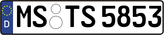 MS-TS5853