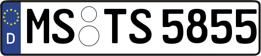 MS-TS5855