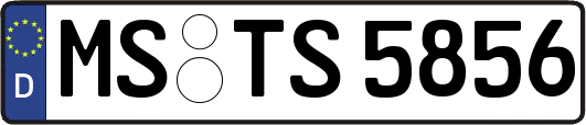 MS-TS5856