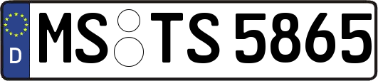 MS-TS5865