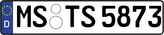 MS-TS5873