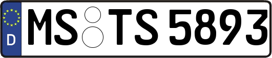 MS-TS5893