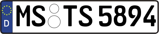 MS-TS5894