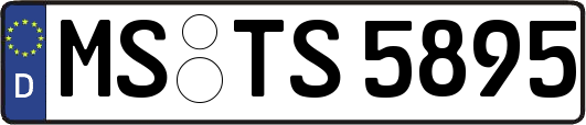 MS-TS5895