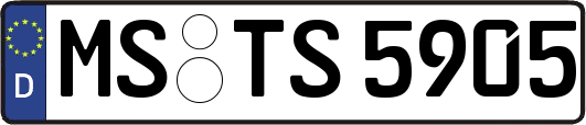 MS-TS5905