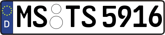 MS-TS5916