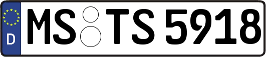 MS-TS5918
