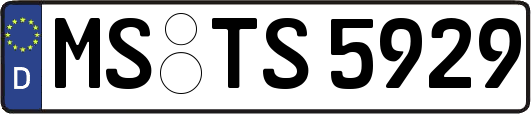MS-TS5929