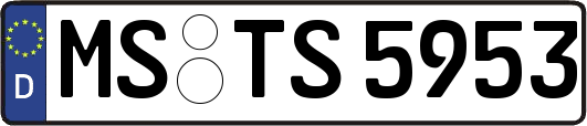 MS-TS5953
