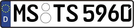 MS-TS5960