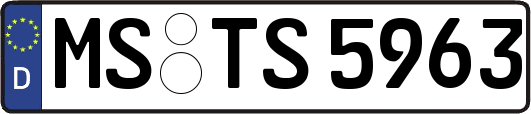 MS-TS5963
