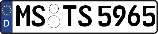 MS-TS5965